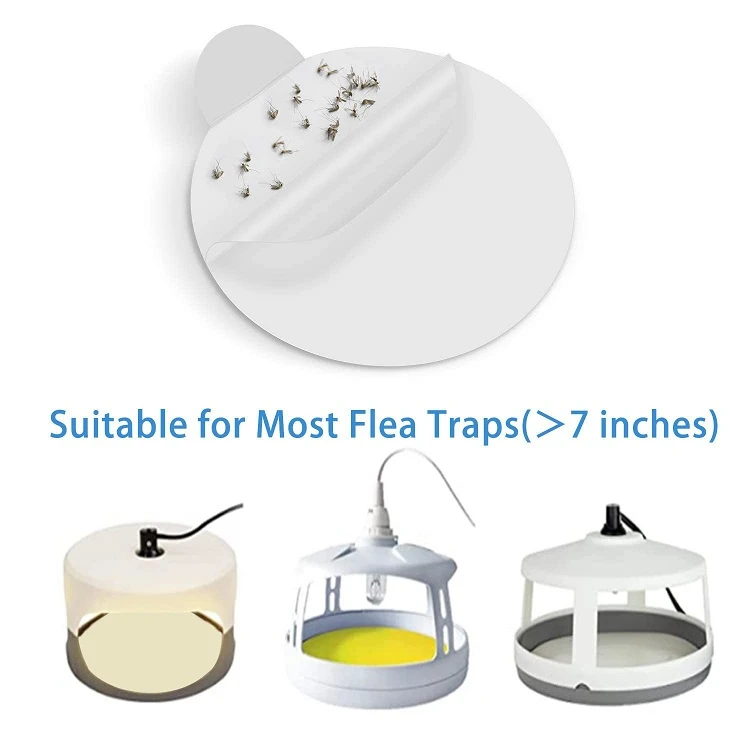 flea trap use